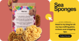 Naroa Sponges: Natural Texturing for Acrylics, Oils, and Clay